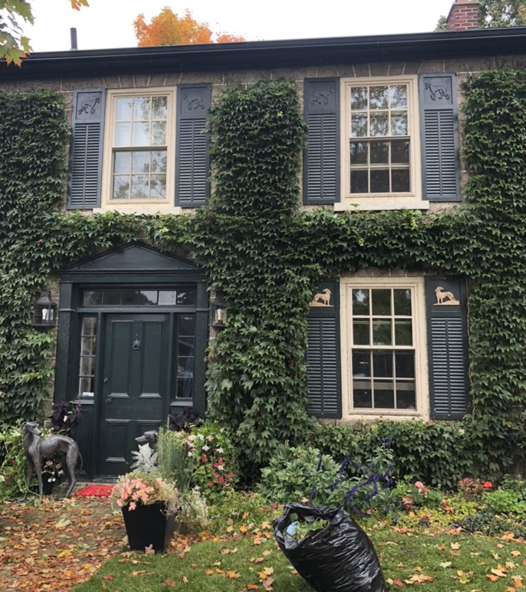 Wellington Windows Pro Wash photo 4